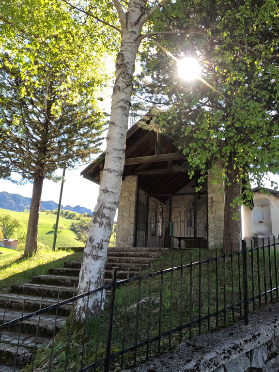 Immagine Album